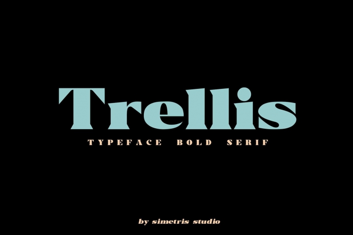 Trellis -Typeface Bold Serif Font Download