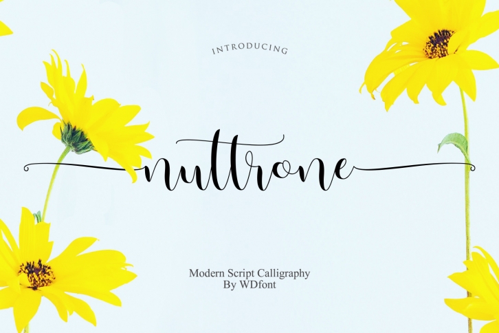 Nuttrone Script Font Download