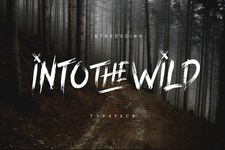 Into The Wild Brush Typeface Font Download
