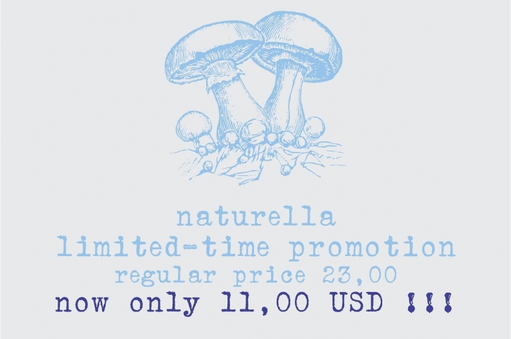 Naturella, organic dingbats Font Download