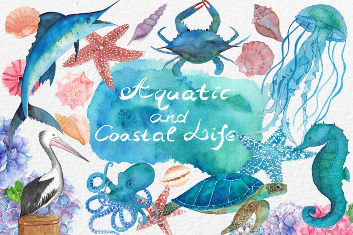 Watercolor Aquatic and Coastal Set Font Download