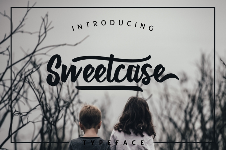Sweetcase Typeface 30 OFF Font Download