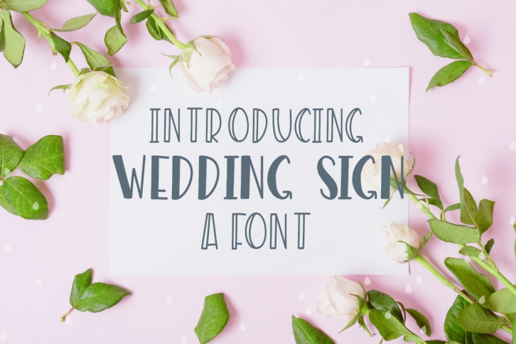 Wedding Sign Font Font Download