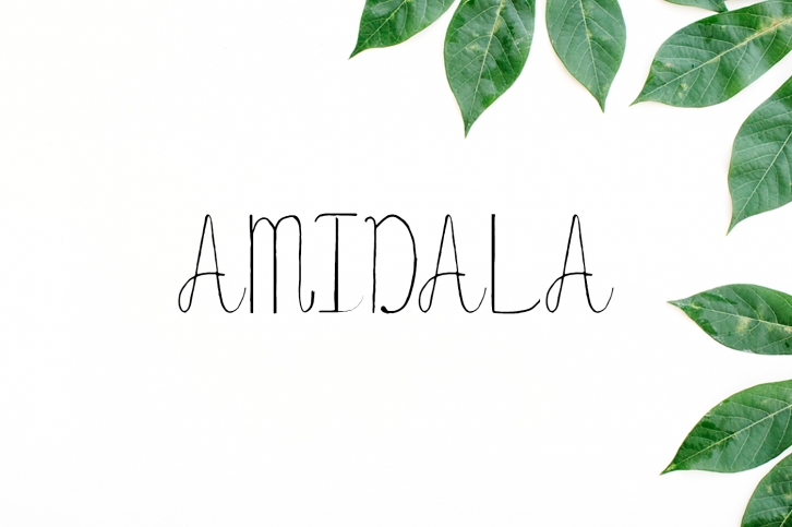 Amidala Script Font Font Download