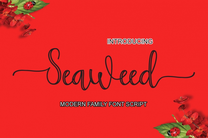 Seaweed Font Download