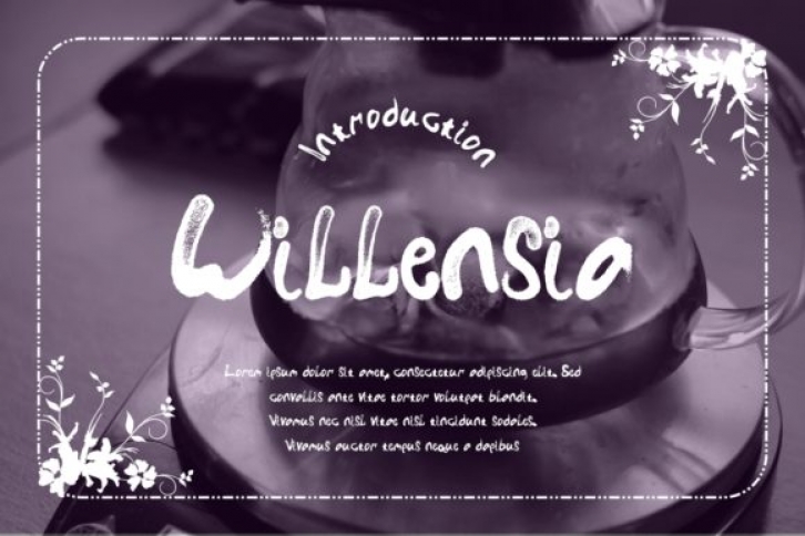 Willensia Font Download