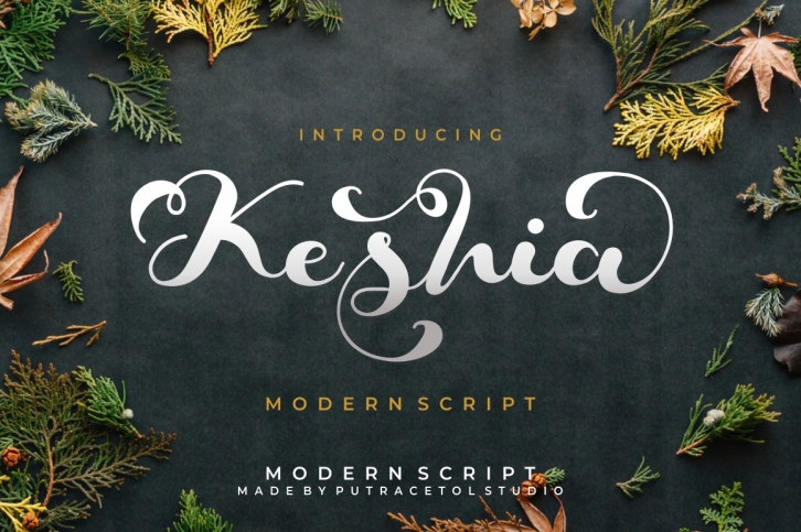 Keshia Script Font Font Download