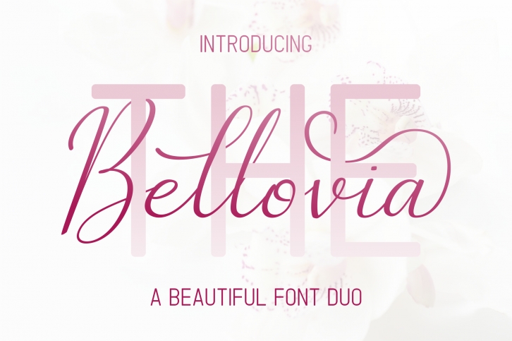 The Bellovia Font Duo Font Download