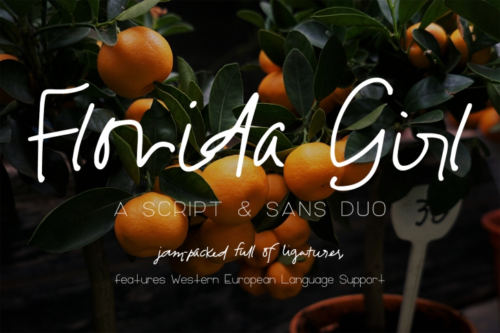 Florida Girl Script & Sans Font Download