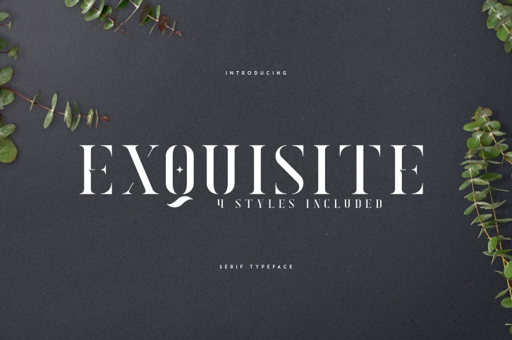 Exquisite - Serif Typeface|4 Styles Font Download