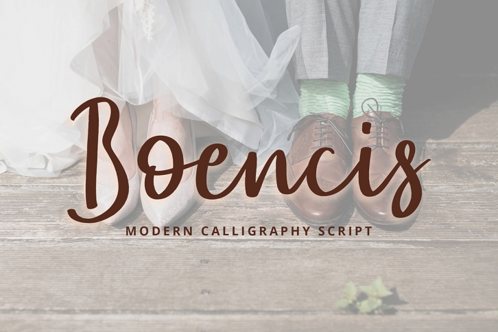 Boencis Modern Calligraphy Font Font Download