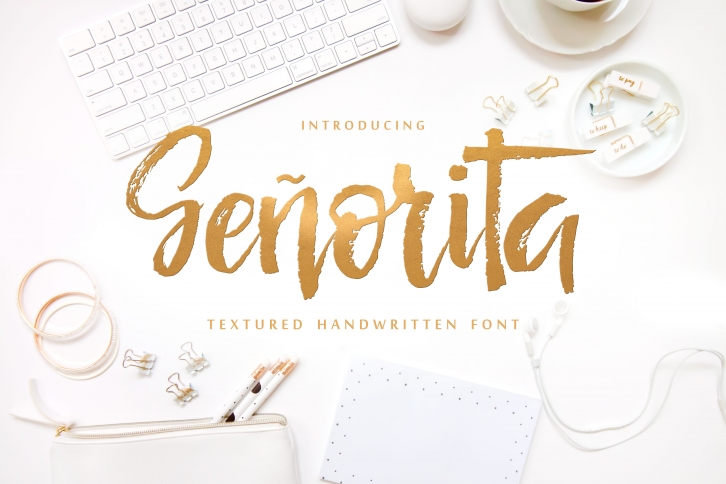 Seu00f1orita Handwritten Textured Font Font Download