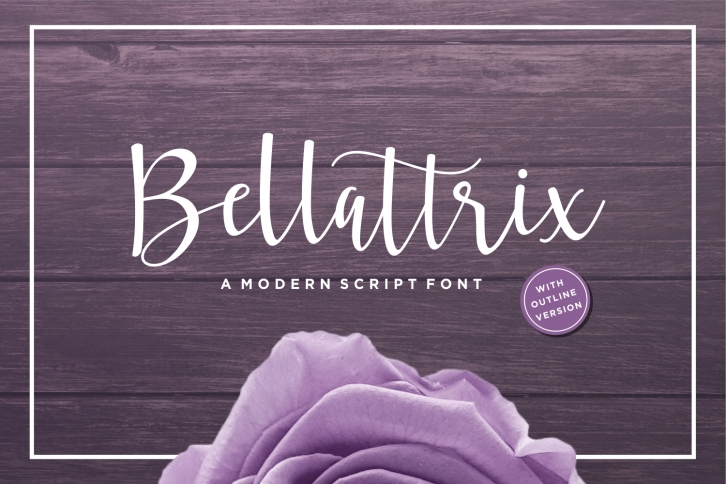 Bellattrix - A Modern Script Font Font Download