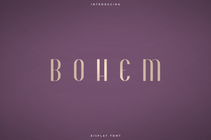 Bohem - Display font | 2 styles Font Download