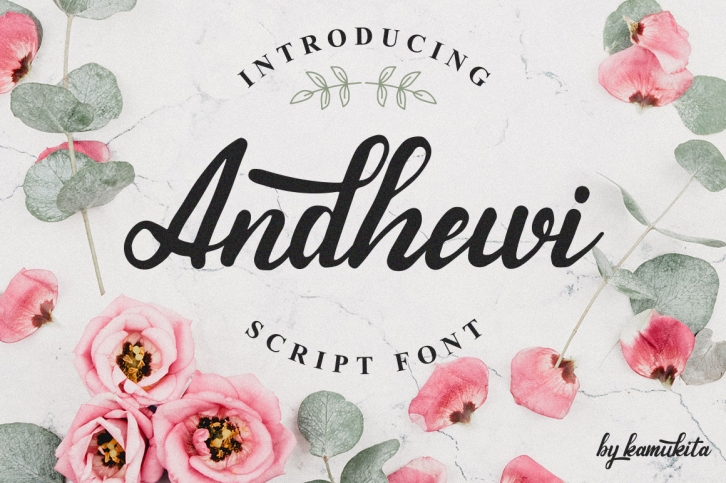 Andhewi Script Font Font Download