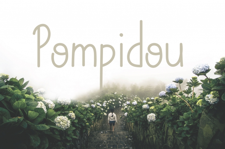 Pompidou | Sans Serif with Extras Font Download
