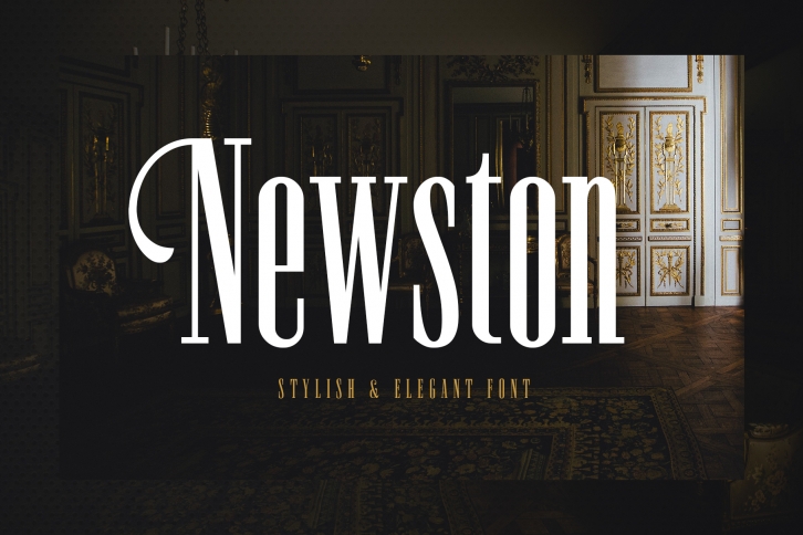 Newston - Stylish Serif Font Font Download