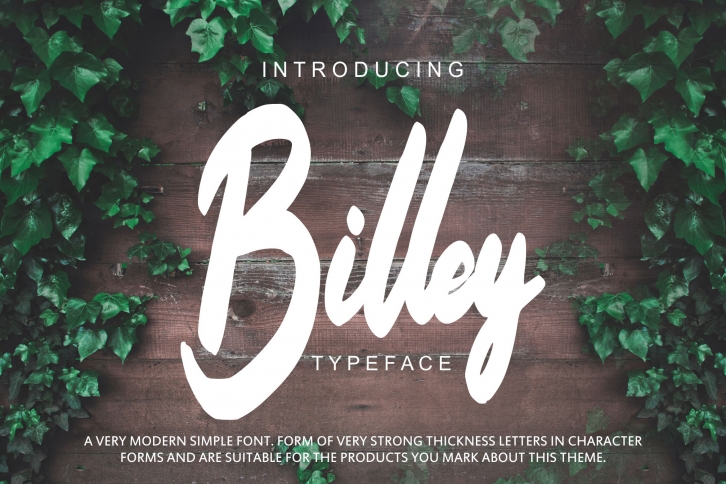 Billey - Handwritten Script Font Download