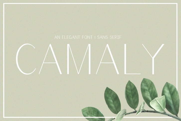 Camaly | san serif Font Download