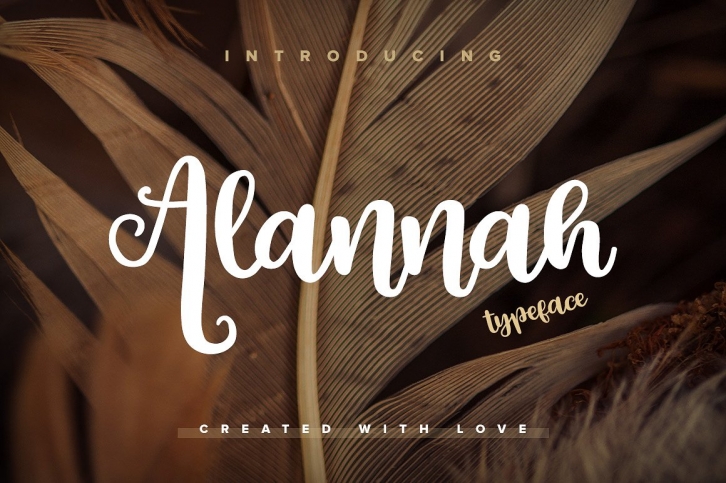 Alannah Script Font Font Download