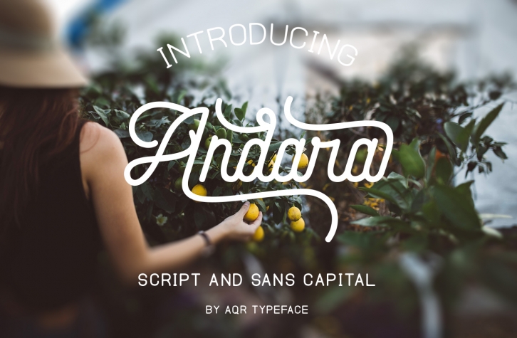 Andara Font Combination ( 30 % OFF ) Font Download