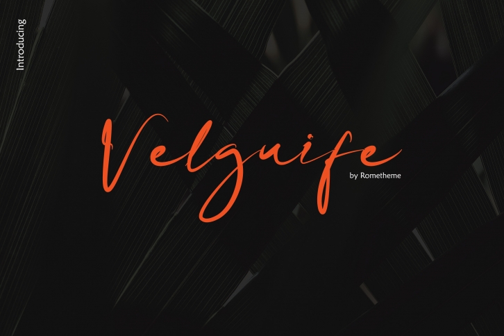 Velguife Script Font Font Download