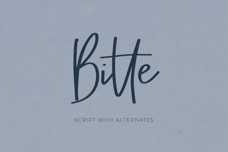 Bitte Handwriting Script Font Font Download