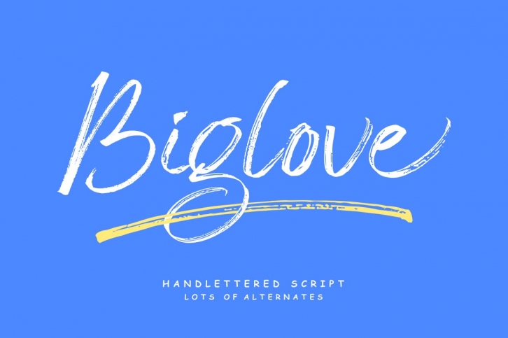 Biglove Brush Font Font Download