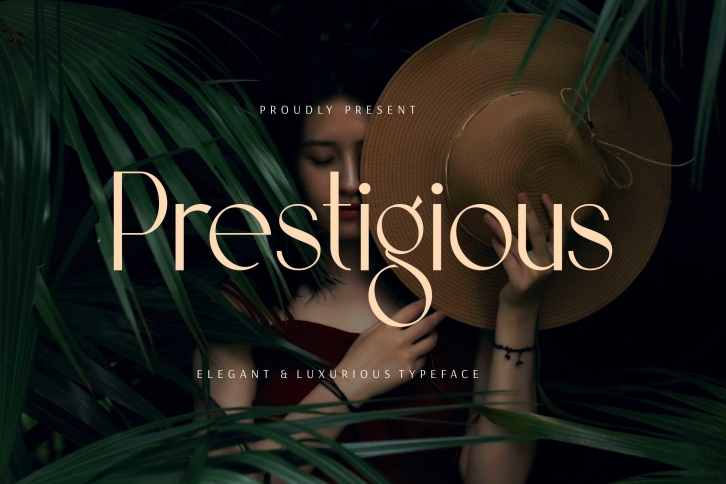 Prestigious - Elegant & Luxury Typeface Font Download