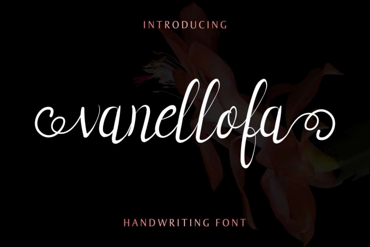 Vanellofa Font Download