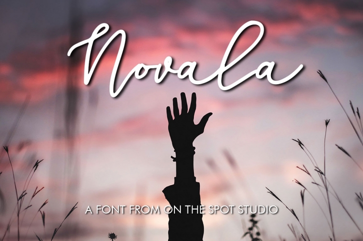 Novala Font Download