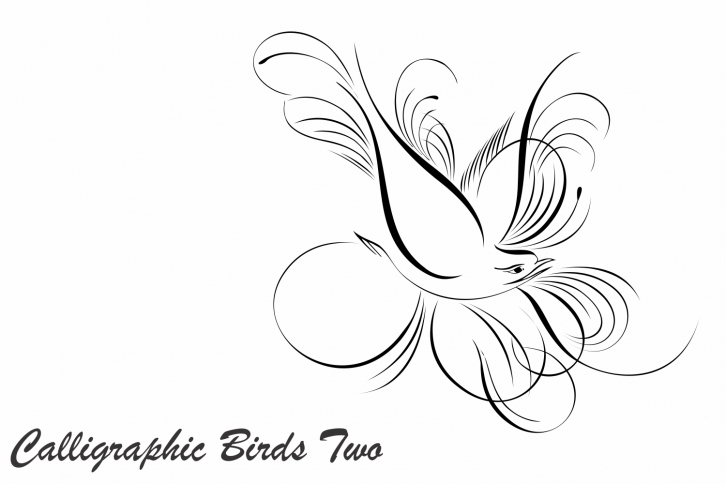 Calligraphic Birds Two Font Download