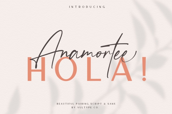 Anamortee  Modern Calligraphy Font Font Download