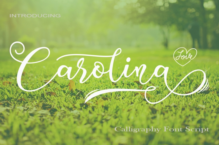 Carolina Font Download