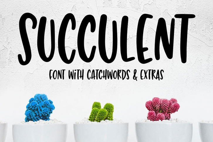 Succulent - a hand-lettered font! Font Download