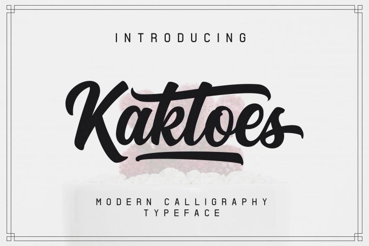 Kaktoes Script Font Font Download