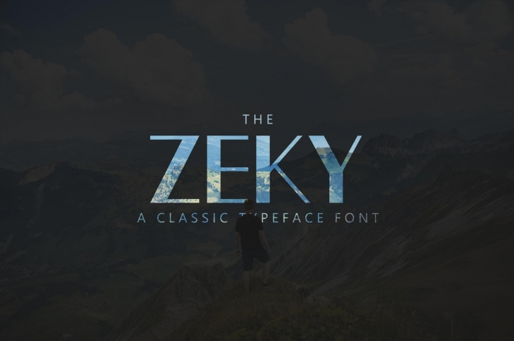Zeky Typeface Font Font Download