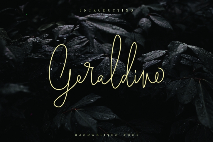 Geraldine | Hand Written Font Font Download