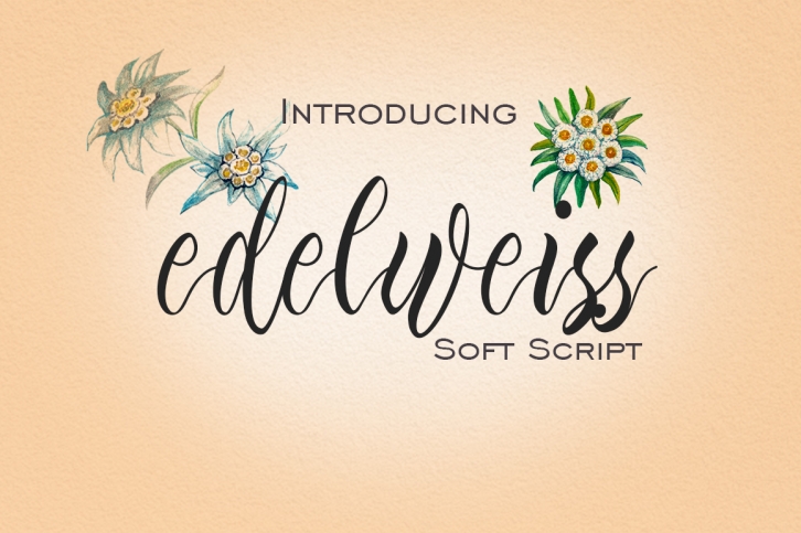 Edelweiss Font Download