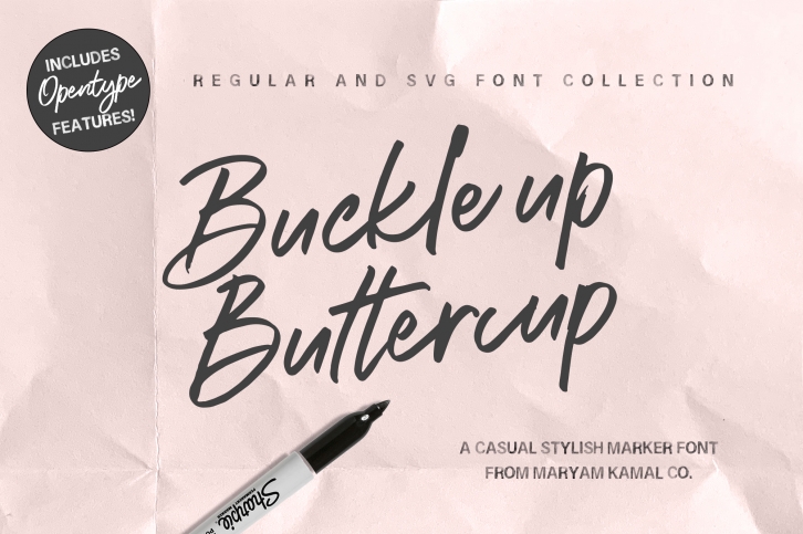 Buckle up Buttercup Marker Font Font Download