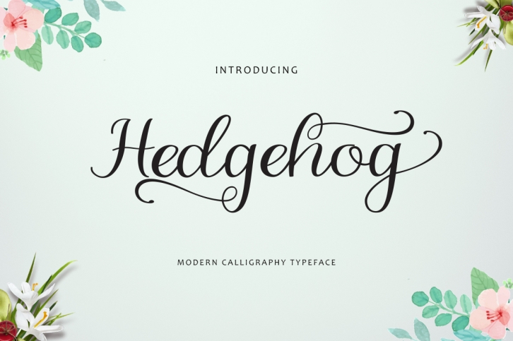 Hedgehog Font Download