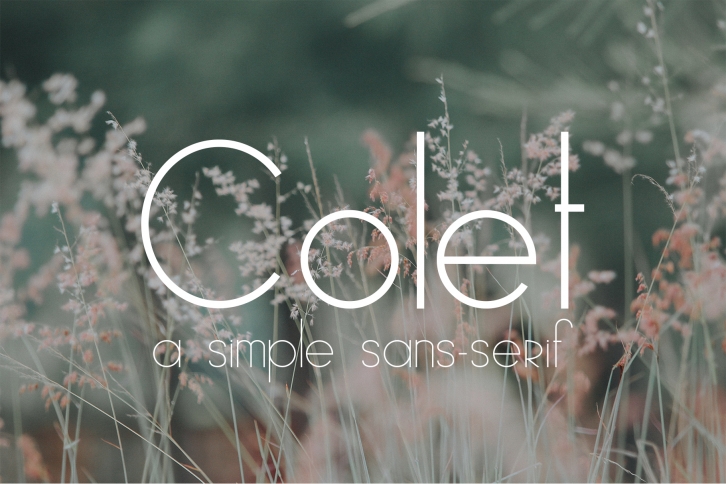 Colet | a simple sans-serif Font Download