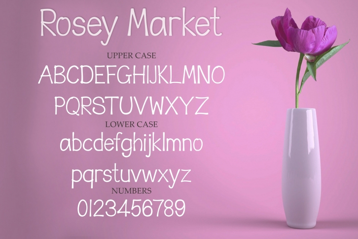 Rosey Market - a fun handwritten font Font Download