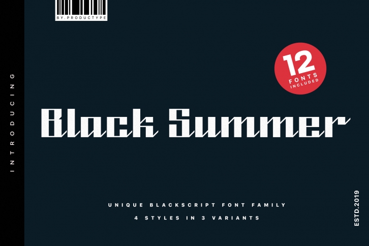 Black Summer Font Family Font Download