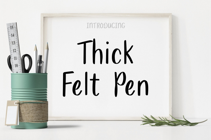 Thick Felt Pen Hand written FONT Font Download