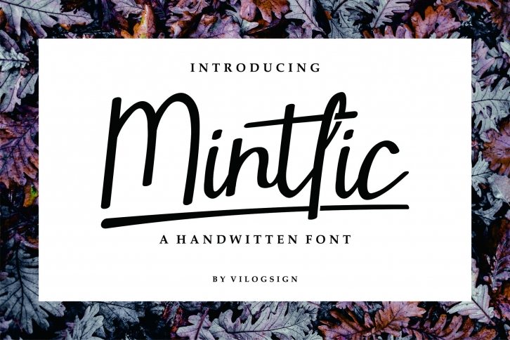 Mintlic Script Font Font Download