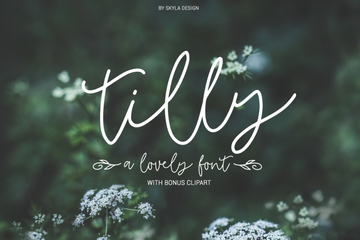Tilly, a lovely, romantic, wedding font with bonus clipart Font Download