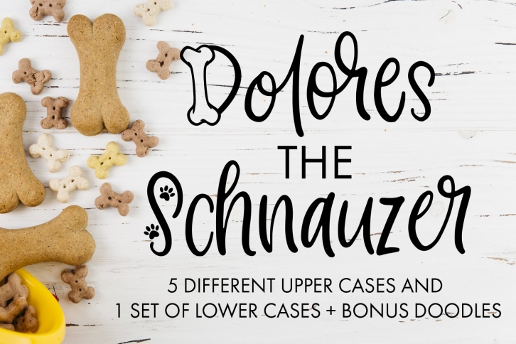 Dolores The Schnauzer - Different Designs With Bonus Doodles Font Download