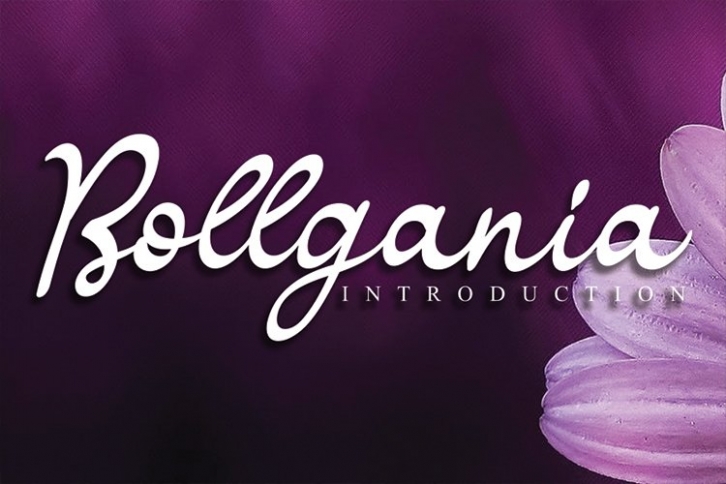 Bollgania Font Download