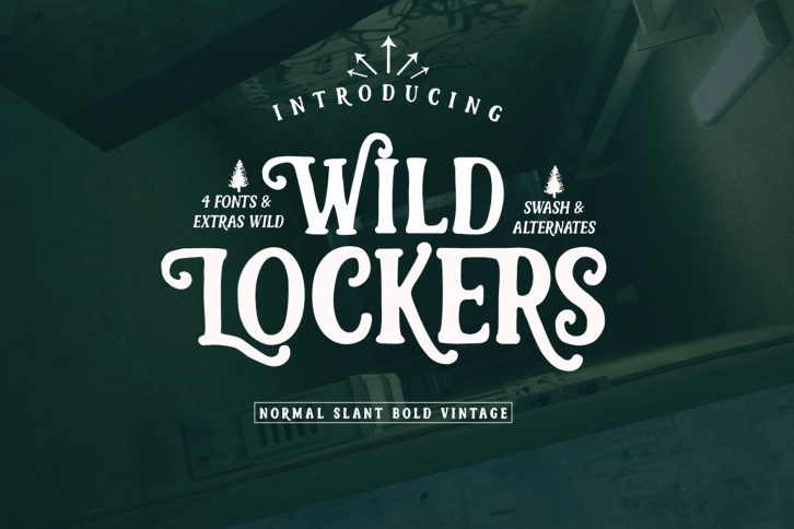 Lockers Font Font Download